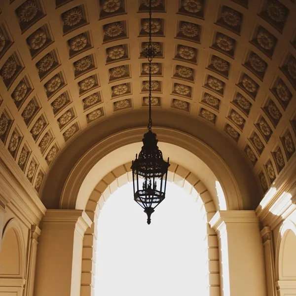 Ceiling Panel