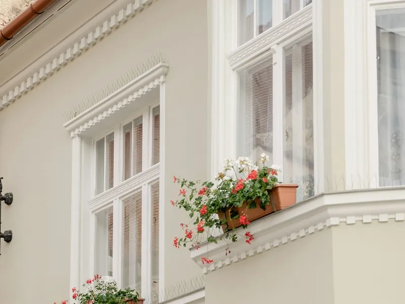 Window Trim1
